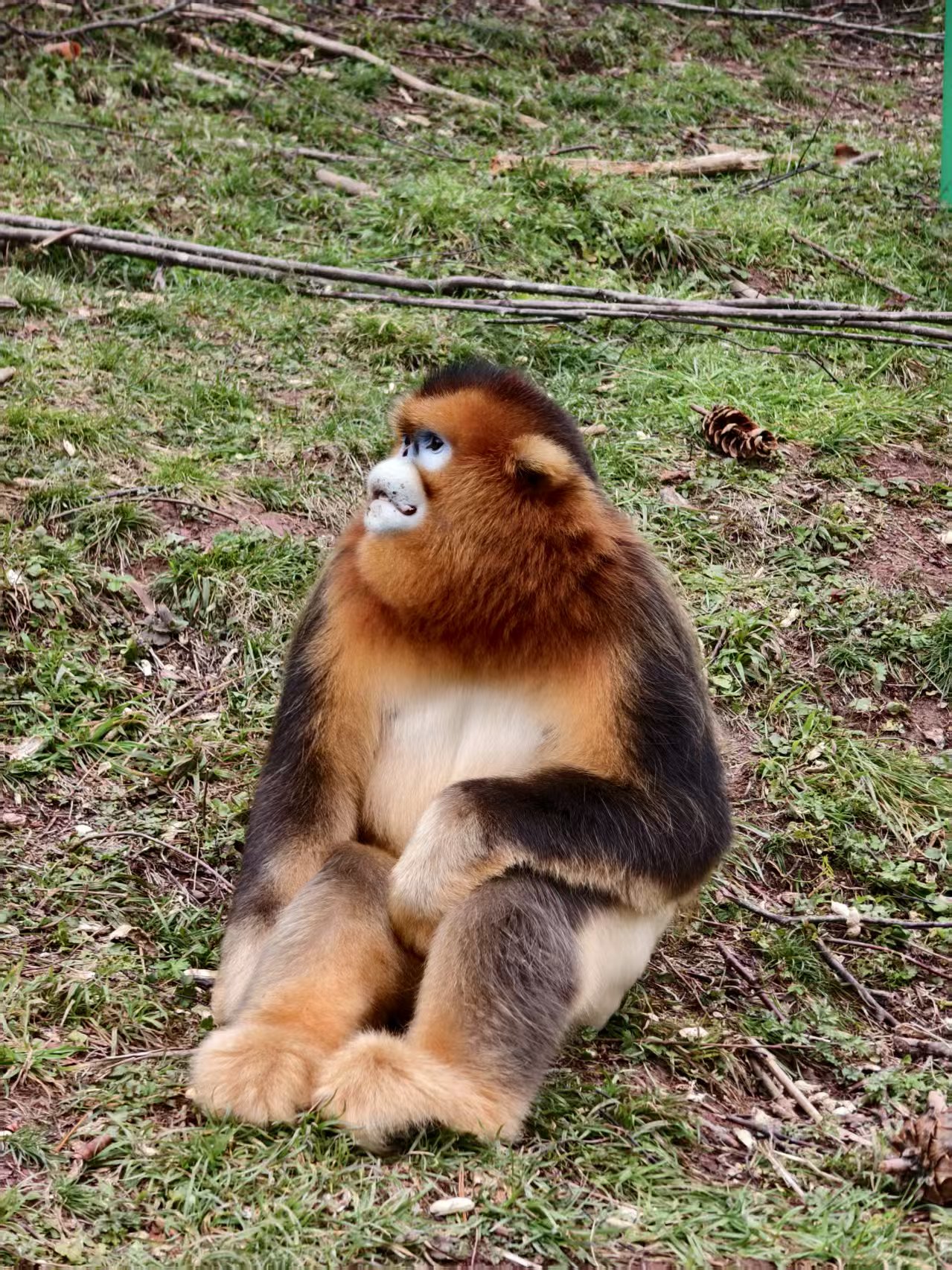 瞿塘峡